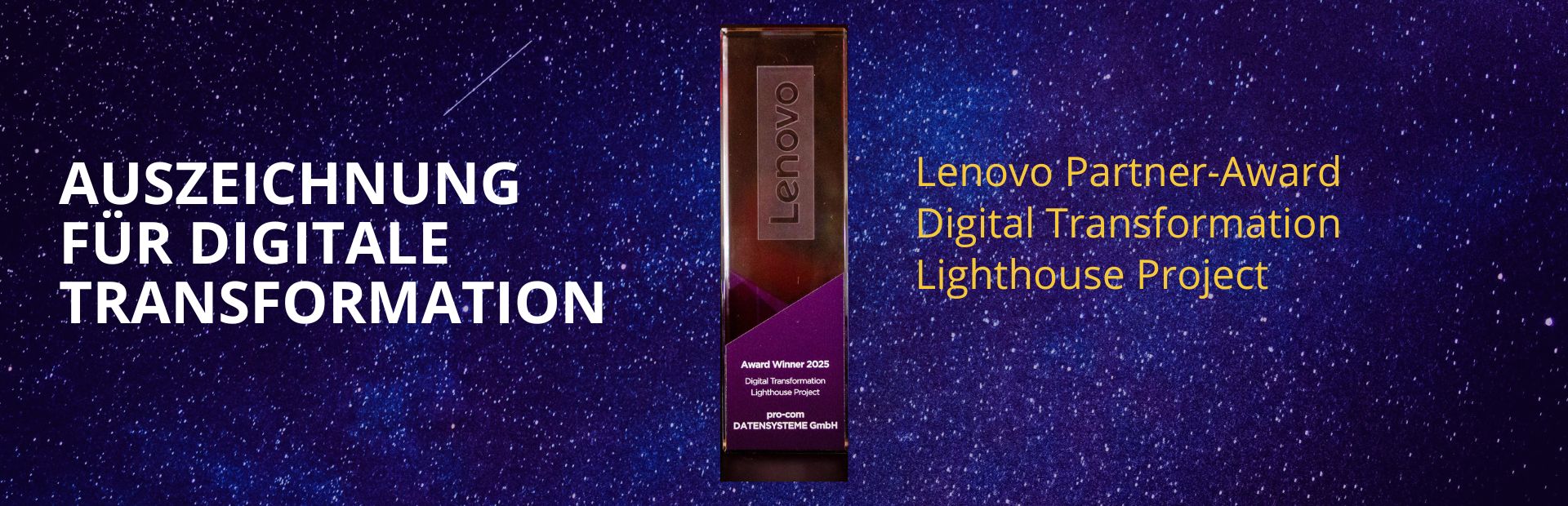 Lenovo Partner Award